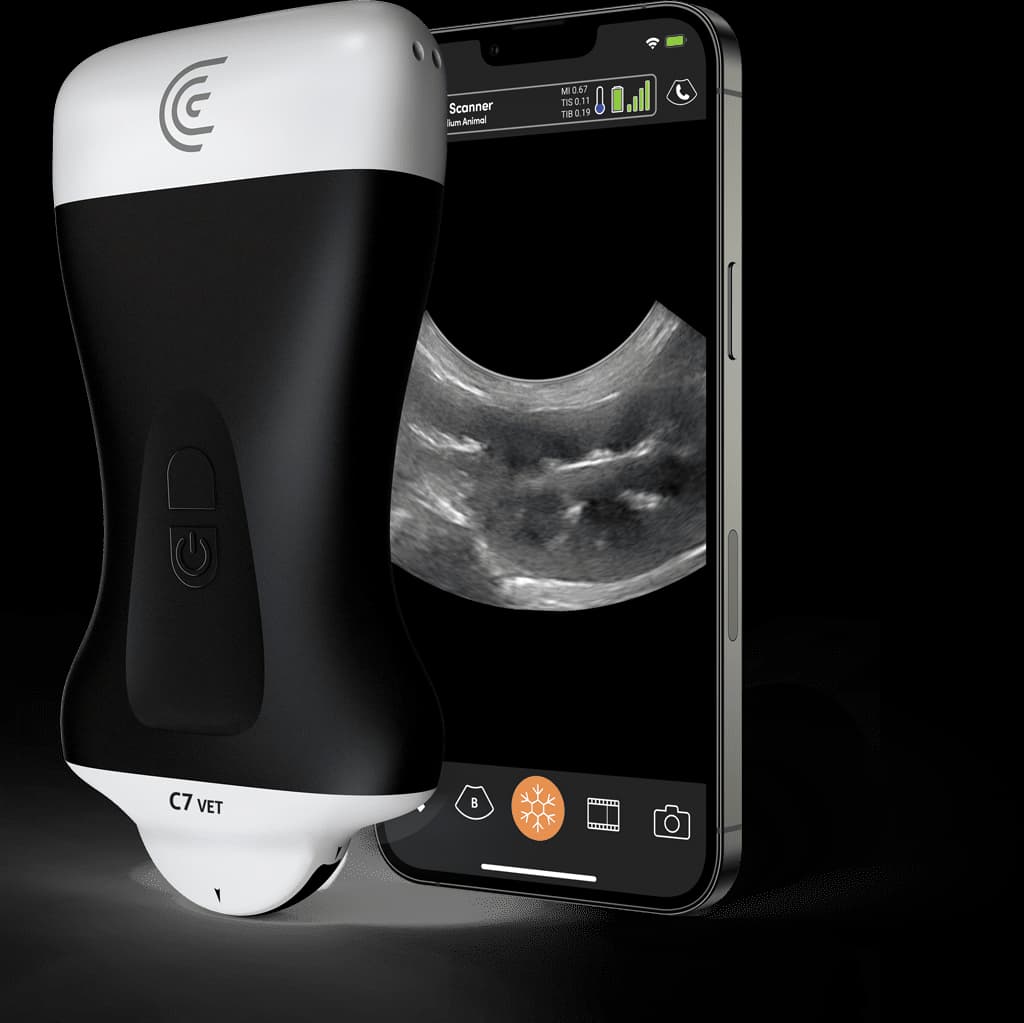 Sonde C7 Vet HD3 et exemple d’application Clarius