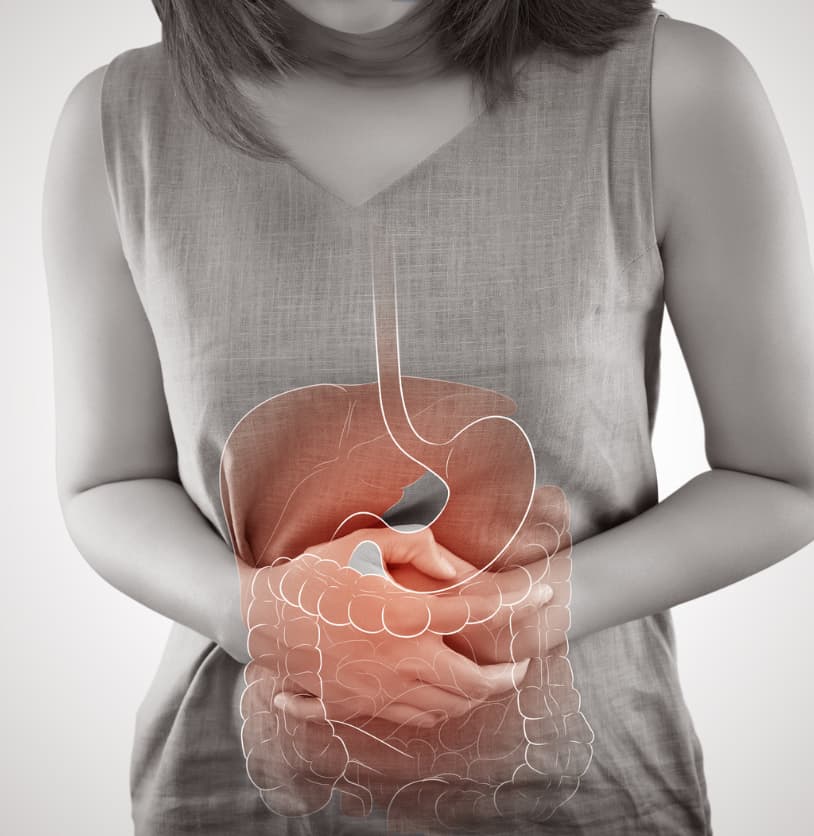 Gastroentérologie