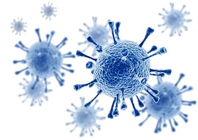 Maladies infectieuses